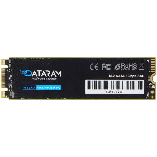 DATARAM (256GB) M.2 Internal Solid State Drive SSD 6Gbps (SSD-SM2-256)