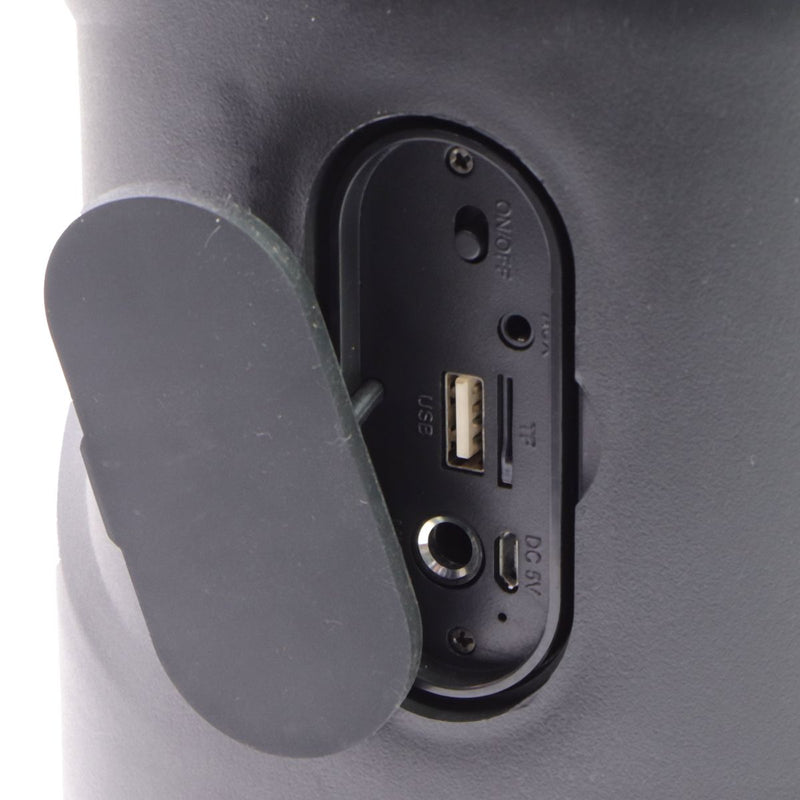 IQ Sound 6.5-in LED Rechargeable Bluetooth Speaker FM Radio - Black (IQ-1965BT)