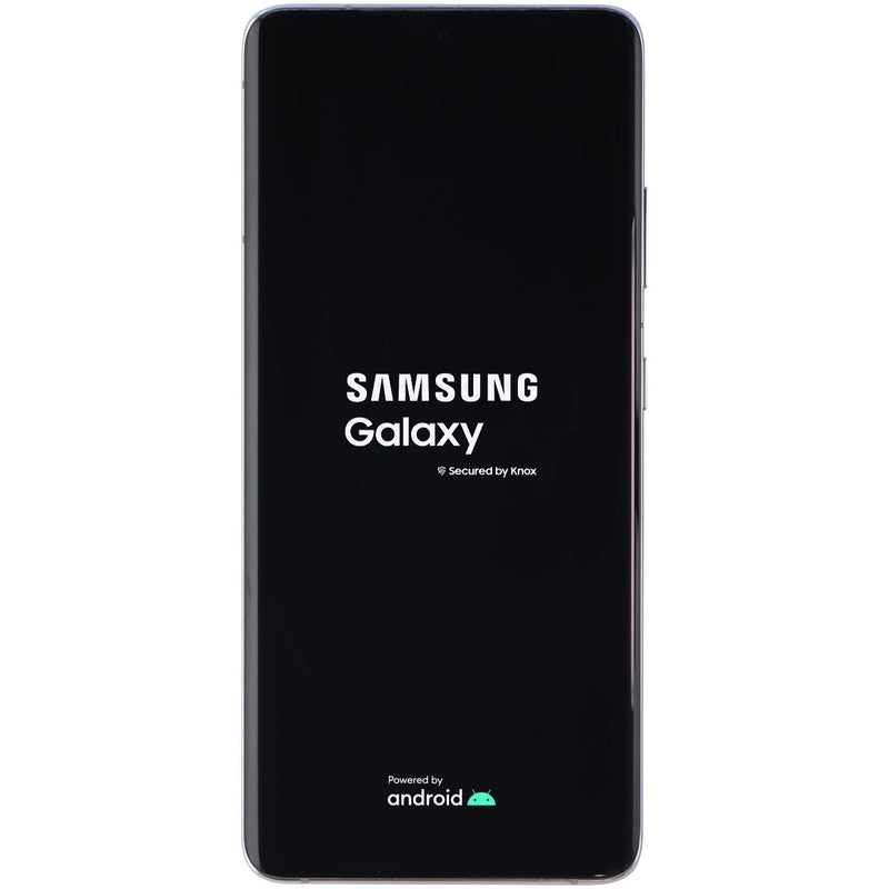 Samsung Galaxy S21 Ultra 5G (6.8-inch) SM-G998U1 Unlocked - 256GB/Silver