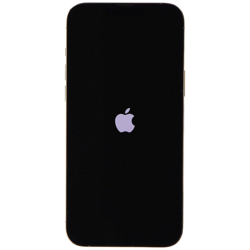 Apple iPhone 13 Pro Max (6.7-inch) Smartphone (A2484) AT&T Only - 256GB/Gold