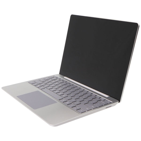 Microsoft Surface Laptop Go (12.4-in) 1943 (i5-1035G1 / 256GB / 8GB) - Platinum