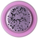 PopSockets Phone Grip & Stand for MagSafe with Adapter Ring - Sugar Plum Speckle