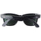 Ray-Ban Meta Glasses - Wayfarer/Reg - Shiny Black Frame/G15 Lens (RW4006 601/71)