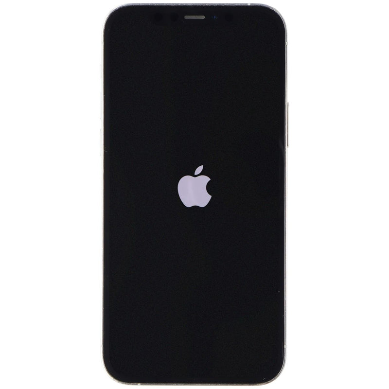 Apple iPhone 12 Pro (6.1-in) (A2341) Unlocked - 256GB / Silver - NON OEM LCD
