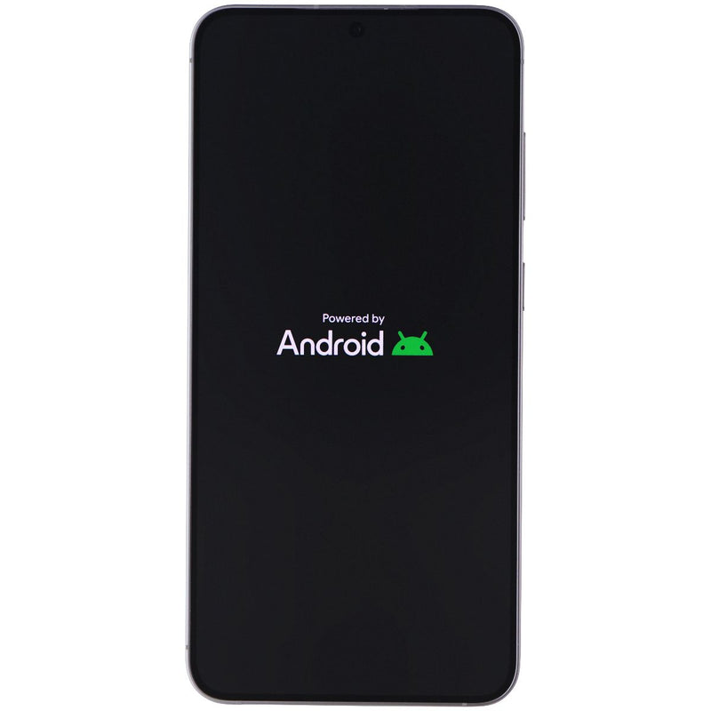 Samsung Galaxy S25+ (6.7-in) Smartphone (SM-S936U) Verizon - 256GB/Silver Shadow