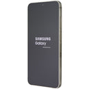 Samsung Galaxy S24 (6.2-inch) Smartphone (SM-S921U) Dish Mobile - 128GB/Yellow