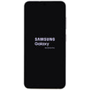 DEMO Samsung Galaxy S24 (6.2-inch) Smartphone (SM-S921U) No Service 128GB/Gray