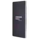 Samsung Galaxy S25 Ultra (6.9) Smartphone (S938U) Unlocked - 256GB/Silver Blue