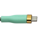 Simple Fashion Glitter Series 6FT USB-C to USB-C Cable - Green