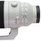 Sony FE 200-600mm F5.6-6.3 G OSS Super Telephoto Zoom Lens (SEL200600G)