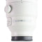 Sony FE 200-600mm F5.6-6.3 G OSS Super Telephoto Zoom Lens (SEL200600G)