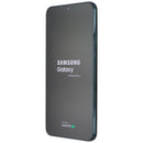 Samsung Galaxy S22+ 5G (6.6-inch) Smartphone (SM-S906U) AT&T - 256GB/Green