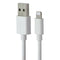 Generic (5V/1A) Single USB Wall Adapter + 3.3-Ft Lightning 8-Pin Cable - White