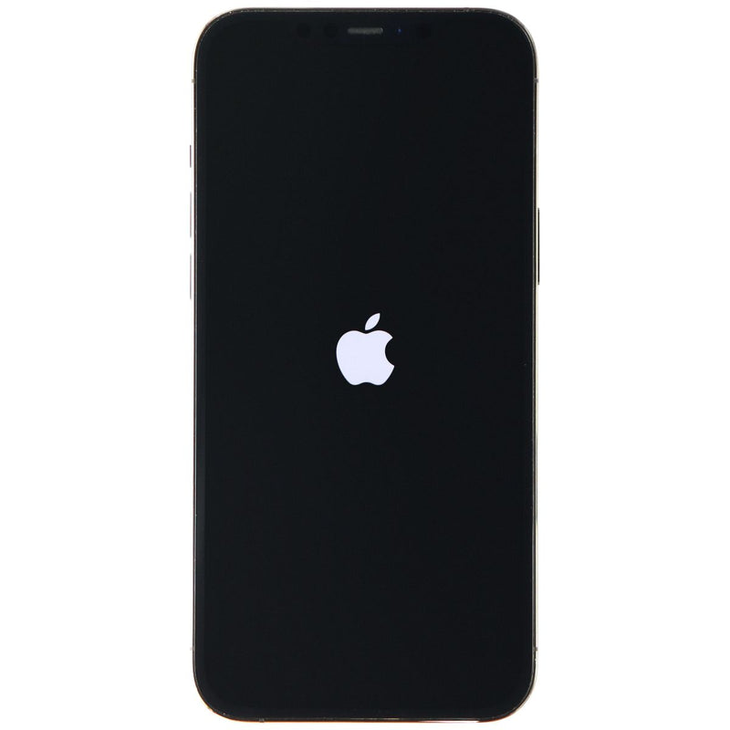 Apple iPhone 12 Pro (6.1-inch) Smartphone (A2341) Verizon - 128GB / Graphite