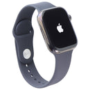 Apple Watch Series 9 (GPS + LTE) A2984 45mm - Graphite SS / Black SB (M/L)