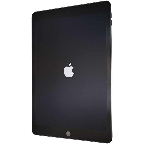 Apple iPad (10.2-inch, 9th Gen) Tablet (A2602) Wi-Fi Only - 256GB / Space Gray