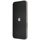 Apple iPhone 12 Pro Max (6.7-inch) Smartphone (A2342) Unlocked - Silver/128GB