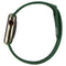 Apple Watch Series 6 (GPS + LTE) A2293 40mm Gold Stainless Steel/Green Sp Band
