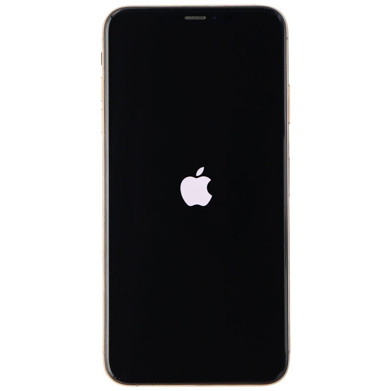 Apple iPhone Xs Max (6.5-inch) Smartphone (A1921) Unlocked - 256GB / Gold