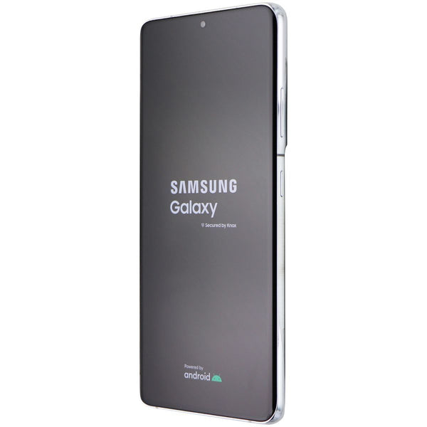 Samsung Galaxy S21 Ultra 5G (6.8-inch) SM-G998U1 Unlocked - 128GB/Silver