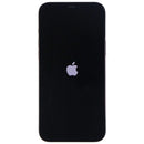 Apple iPhone 12 Pro Max (6.7-in) Smartphone (A2342) Unlocked - Graphite/512GB