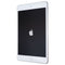 Apple iPad Mini 5th Gen (7.9-inch) Tablet (A2133) Wi-Fi Only - 64GB / Silver