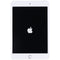 Apple iPad Mini 5th Gen (7.9-inch) Tablet (A2133) Wi-Fi Only - 64GB / Silver