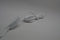 Samsung Galaxy S2 S3 III Wired Earbuds White *EHS61ASFWE
