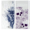 ZAGG Swappable Inserts for Galaxy (S10+) Chelsea Cases - Tattoo Art Edition