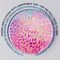 PopSockets PopGrip with Swappable Top for Phones & Tablets - Petal Power Gloss