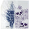 ZAGG Swappable Inserts for iPhone Xs Max Chelsea Cases - Tattoo Art Edition