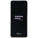 Samsung Galaxy S21 5G (6.2-inch) (SM-G991U1) Unlocked - 128GB/Phantom White