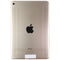 Apple iPad Mini 4 (7.9-inch) Tablet (A1538) Wi-Fi Only - 128GB / Gold