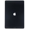Apple iPad Pro 10.5-inch Tablet (A1701) Wi-Fi Only - 256GB / Space Gray