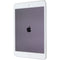 Apple iPad Mini 5th Gen (7.9-inch) Tablet (A2126) Unlocked - 64GB / Silver
