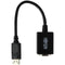 Tripp-Lite DisplayPort DP to VGA Cable Adapter - Black (P134-06N-VGA)