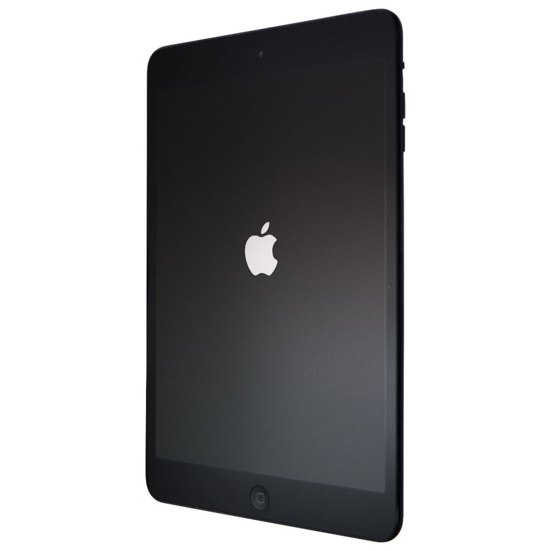 Apple iPad Mini 1st Gen Tablet A1432 (Wi-Fi Only) 16GB - Black/Slate
