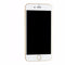 Apple iPhone 6 16GB Smartphone A1549 - GSM Unlocked + Verizon - Gold - Apple - Simple Cell Shop, Free shipping from Maryland!