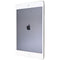 Apple iPad mini 4th Gen (7.9-inch) Tablet (A1550) GSM + CDMA - 128GB / Silver - Apple - Simple Cell Shop, Free shipping from Maryland!
