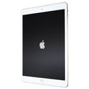 Apple iPad 10.2-in 7th Gen Tablet (A2197) Wi-Fi - 32GB / Gold + FREE CASE Bundle - Apple - Simple Cell Shop, Free shipping from Maryland!