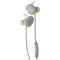 Bose SoundSport Wireless, Sweat Resistant, In-Ear Headphones - Citron - Bose - Simple Cell Shop, Free shipping from Maryland!