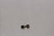 Front Facing Camera for LG Optimus L70 LG-MS323 - LG - Simple Cell Shop, Free shipping from Maryland!