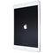 Apple iPad Pro (9.7-in) 1st Gen Wi-Fi - 32GB/Rose Gold + FREE WIPES BUNDLE - Apple - Simple Cell Shop, Free shipping from Maryland!