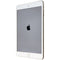Apple iPad mini 3 (7.9-inch) Tablet (A1600) GSM + CDMA - Gold / 128GB - Apple - Simple Cell Shop, Free shipping from Maryland!