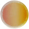 PopSockets PopGrip Swappable Top - Yellow Fade (Top ONLY/No Base) - PopSockets - Simple Cell Shop, Free shipping from Maryland!