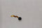 Vibrator Motor for Samsung Galaxy S5 SM-G900V - Samsung - Simple Cell Shop, Free shipping from Maryland!