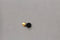 Replacement Vibrator Motor for Samsung Galaxy S4 (SGH-M919) - Samsung - Simple Cell Shop, Free shipping from Maryland!