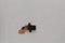 Headphone Audio Jack for Samsung Galaxy S5 SM-G900A - Samsung - Simple Cell Shop, Free shipping from Maryland!