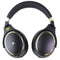 Voza 700D Hi Resolution 3.5mm Hybrid Folding Headphones - Black/Gold - Voza - Simple Cell Shop, Free shipping from Maryland!