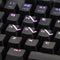 EVGA Z20 RGB Mechanical Gaming Keyboard, Optical Mechanical Switches (Clicky) - EVGA - Simple Cell Shop, Free shipping from Maryland!